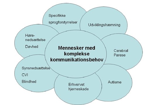 rapport_om_mennesker_med_komplekse_kommunikati_forside.jpg