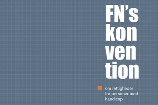 fns_handicapkonvention.jpg