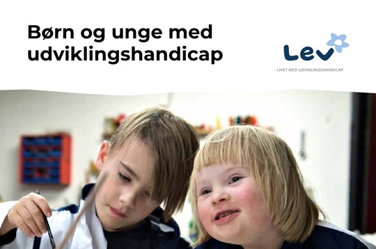Børn_og_unge_med_udviklingshandicap_Hånd_om_paragrafferne_1_web1.jpg